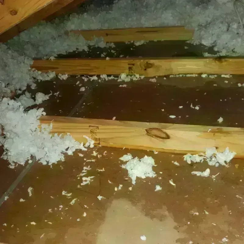 Attic Water Damage in La Feria, TX